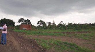 Buwambo – Banda Estate