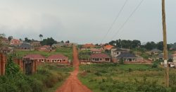 Gayaza-Nakwero Estate just behind Canansite estate