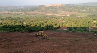 Executive Estate on Mpigi Hill Town